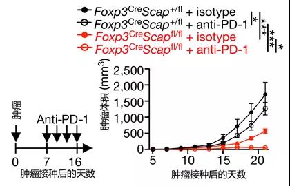 微信圖片_20210402134106.jpg